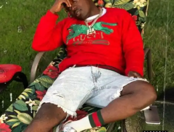 Troy Ave - The Come Up